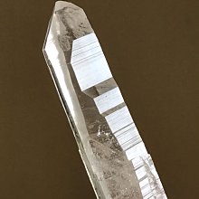 骨力自癒逆轉密碼：鬆開筋膜‧遠離疼痛‧強健骨骼‧提升肌力‧改善免疫 歷史價格詳細信息