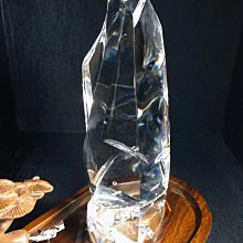 輕舞韓風兔女郎長版T(Q0885-AS&W)/二色任選 歷史價格詳細信息