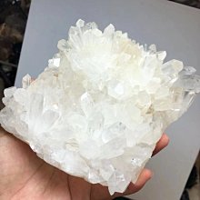 璽氏工坊 煉雞精60ml-冷凍10入(盒裝) 贈手提袋乙個 手工滴雞精 歷史價格詳細信息