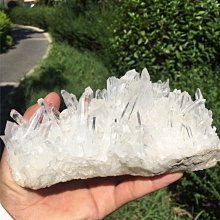 阿根廷球王馬拉多納水洗做舊短袖男裝純棉T恤重磅衣寬松大碼男士n#男裝 歷史價格詳細信息