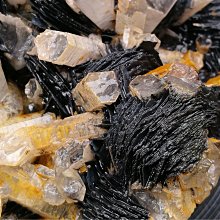 AVB88 Girlhood-AV天團 少女夾吸自慰器-小敦 歷史價格詳細信息