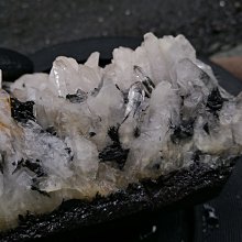 1365夏季西裝短褲 女款高腰顯瘦顯瘦寬鬆休閒褲A字五分褲2024新款 歷史價格詳細信息