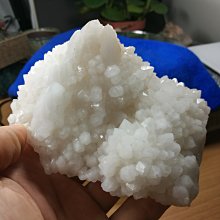 508【晶玉石】珍藏和闐白玉媲美羊脂白玉精雕秋蟬（一鳴驚人）項鍊墜子吊飾~籽料水料~料質圓潤水頭飽滿~140一元起標 歷史價格詳細信息