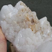 AD558 AD558SD 模擬轉換器 直插DIP-16 全新現貨供應 歷史價格詳細信息