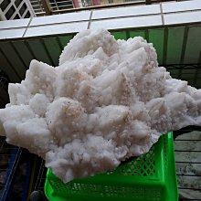 友情22W 吸入式捕蚊燈VF-2711 飛利浦燈管 歷史價格詳細信息