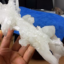超尖5號細胞夾去黑頭夾子粉刺針挑擠痘痘工具美容院專用超細鑷子 粉刺針痘痘夾粉刺夾擠痘痘工具挑黑頭暗瘡祛痘 歷史價格詳細信息