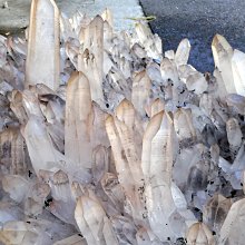 [友克鑫礦業]約重12.8公斤 剛果 紫水晶簇 歷史價格詳細信息