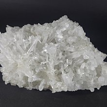 [銀九藝] 水墨字畫 國畫 李如霖 花卉孔雀 (lin) 歷史價格詳細信息