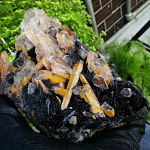 AB-175【全彩包裝日本代購】 中文／ 運休雨宿りNTR 憧れの女上司と朝までヤリまくった台風の夜 小島みなみ 歷史價格詳細信息