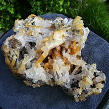 1744 菲利普五世 墨西哥8R NGC鑑定幣 歷史價格詳細信息