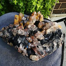 廣東金曲.5 〔粵語歌曲CD〕 歷史價格詳細信息