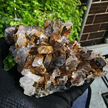 廣東金曲.5 〔粵語歌曲CD〕 歷史價格詳細信息