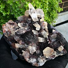 廣東金曲.5 〔粵語歌曲CD〕 歷史價格詳細信息