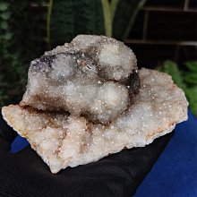 礦業馬達警報器 MS-590報警器 高分貝喇叭 大功率雙向防空報警器 歷史價格詳細信息