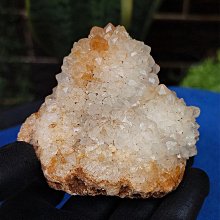 礦業馬達警報器 MS-590報警器 高分貝喇叭 大功率雙向防空報警器 歷史價格詳細信息