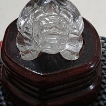 龍龜~帶色根 歷史價格詳細信息