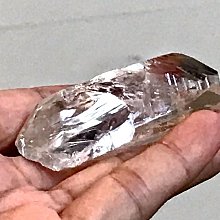 【好來】拉拉熊造型兒童電動牙刷 替換刷頭(原黑人/粉2入) 歷史價格詳細信息