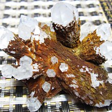 樹枝托盤商用長方形家用茶水盤餐廳咖啡店托盤茶水果水~特價~特價 歷史價格詳細信息