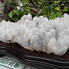 現貨-11388A 修釹鏡/幽禁修道院/修釹傳/修釹禁/修釹禁戀系列之二 1973 BD25幕後花絮 意大利 歷史價格詳細信息