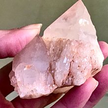 大拇指結晶冰糖 300g/包  【大潤發】 歷史價格詳細信息