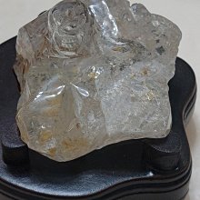 龍龜~帶色根 歷史價格詳細信息