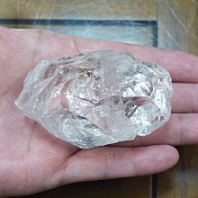 非洲 突尼西亞 1983年 植物 變化的栓皮櫟 5米利姆 錢幣 鋁硬幣-保真、品相如圖 (5) 歷史價格詳細信息