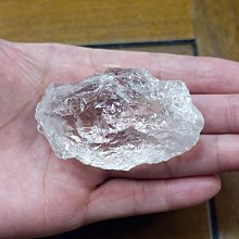 非洲 突尼西亞 1983年 植物 變化的栓皮櫟 5米利姆 錢幣 鋁硬幣-保真、品相如圖 (5) 歷史價格詳細信息