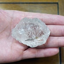 非洲 突尼西亞 1983年 植物 變化的栓皮櫟 5米利姆 錢幣 鋁硬幣-保真、品相如圖 (5) 歷史價格詳細信息