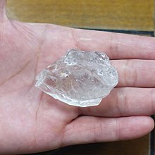 非洲 突尼西亞 1983年 植物 變化的栓皮櫟 5米利姆 錢幣 鋁硬幣-保真、品相如圖 (5) 歷史價格詳細信息