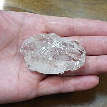 非洲 突尼西亞 1983年 植物 變化的栓皮櫟 5米利姆 錢幣 鋁硬幣-保真、品相如圖 (5) 歷史價格詳細信息