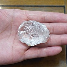 非洲 突尼西亞 1983年 植物 變化的栓皮櫟 5米利姆 錢幣 鋁硬幣-保真、品相如圖 (5) 歷史價格詳細信息