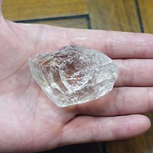 非洲 突尼西亞 1983年 植物 變化的栓皮櫟 5米利姆 錢幣 鋁硬幣-保真、品相如圖 (5) 歷史價格詳細信息