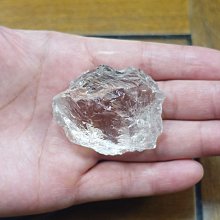 非洲 突尼西亞 1983年 植物 變化的栓皮櫟 5米利姆 錢幣 鋁硬幣-保真、品相如圖 (5) 歷史價格詳細信息