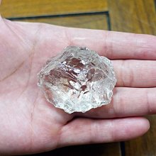 非洲 突尼西亞 1983年 植物 變化的栓皮櫟 5米利姆 錢幣 鋁硬幣-保真、品相如圖 (5) 歷史價格詳細信息