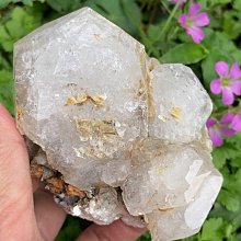 海上雲頂世界 Resorts World At Sea 二層零錢包 二層零錢袋 雙層零錢包 雙層零錢袋 黑色 皮革 拉鍊 歷史價格詳細信息