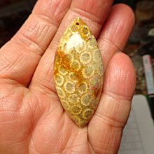 七彩虹 藍寶石顯卡7750 1g顯卡，拆 歷史價格詳細信息