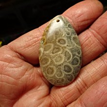 七彩虹 藍寶石顯卡7750 1g顯卡，拆 歷史價格詳細信息