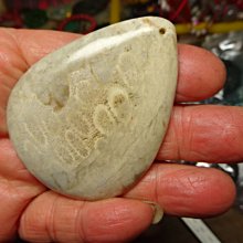 七彩虹 藍寶石顯卡7750 1g顯卡，拆 歷史價格詳細信息