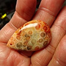 《藍晶寶石玉石特賣→〈項鍊系列〉→天然清透圖案海洋冰瀑水晶玉髓大水滴項鍊→Z1714-5 歷史價格詳細信息