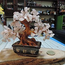 禎安丹雜藝~獅球紫砂壺 紫砂包錫壺浮雕雙龍壺 鑲寶嵌翠 雙龍戲珠 款:邵景南製 清中   (不含座) ~ A款 歷史價格詳細信息