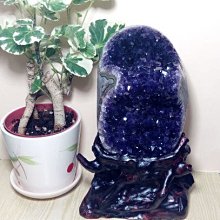 布林玉石小舖 No-2006天然紫水晶簇 歷史價格詳細信息