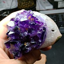 ☆╰＊烏拉圭彩虹瑪瑙線紫水晶洞＊╯☆ 歷史價格詳細信息