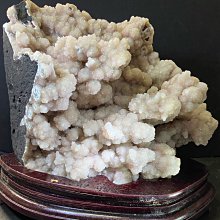 異眼房東 1-6集 香草(不分售) 歷史價格詳細信息