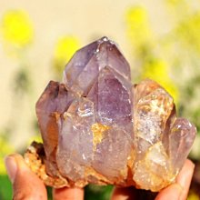 【生活家原料館】天然小麥木醣(清潔)起泡劑(ECOCERT/COSMOS認證)有效成分40%【0.5KG】 歷史價格詳細信息