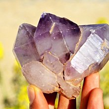 【生活家原料館】天然小麥木醣(清潔)起泡劑(ECOCERT/COSMOS認證)有效成分40%【0.5KG】 歷史價格詳細信息