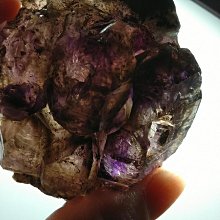 三島紫蘇飯友-瓶 (28g) 歷史價格詳細信息