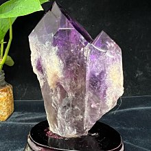 ￼新 款！！免運費 ZOJIRUSHI象印 電子鍋 NP-RMF05 歷史價格詳細信息