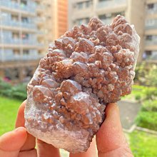 紫晶宮***天然珍珠原始散珠(200公克)***品質保證價格便宜 歷史價格詳細信息