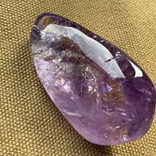 12873/10030永生花12874/10031繁花拼插積木女孩禮物 歷史價格詳細信息