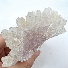 拾奇17-烏拉圭紫晶鎮 蛋型 高品項 紫水晶 紫到黑 財眼 超美瑪瑙邊 歷史價格詳細信息